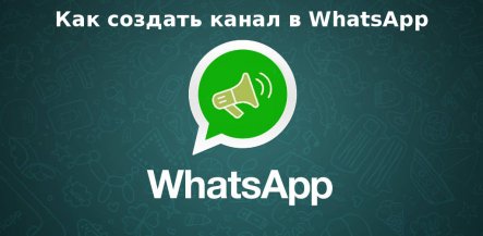 Как создать канал в WhatsApp