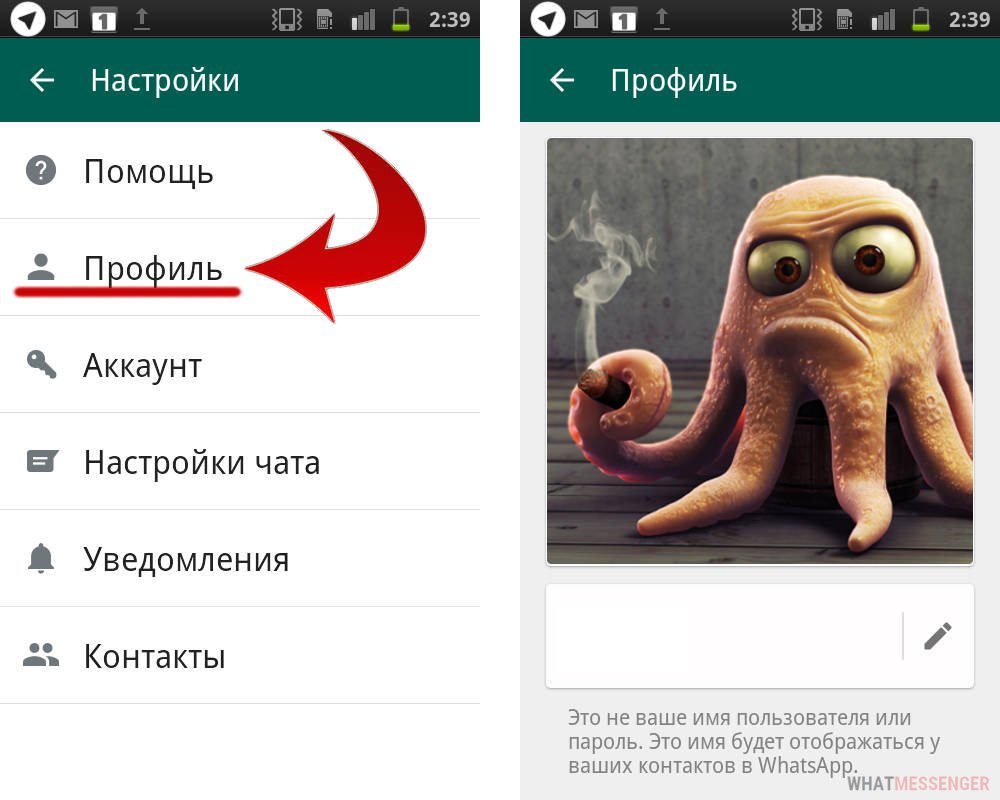 Статусы на whatsapp в картинках