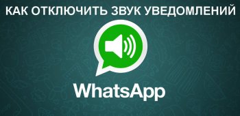 Как отключить звук уведомления о сообщении в WhatsApp