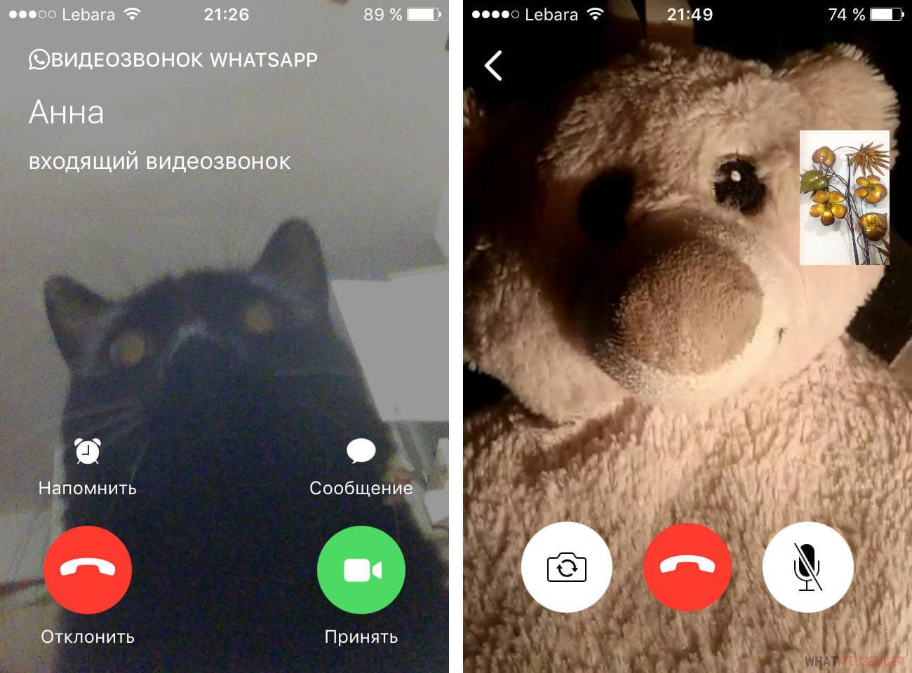 Звук звонка whatsapp. Видеозвонок ватсап. Звонок в ватсап видеозвонок. Входящий видеозвонок в ватсапе. Видеозвонок Скриншот.