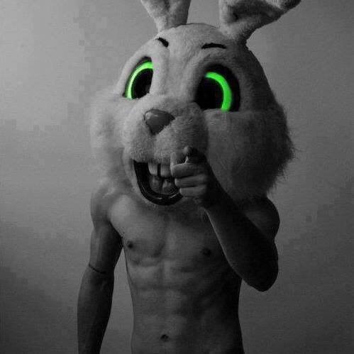 Аватарка для Ватсап - Кролик