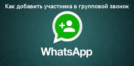 Как добавить участника в групповой звонок WhatsApp