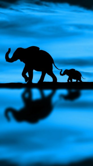 Картинка для Ватсапа - Семья слонов