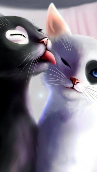 Картинка для Ватсапа - Кошачье счастье