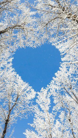 Картинка для Ватсапа - Любовь зимой