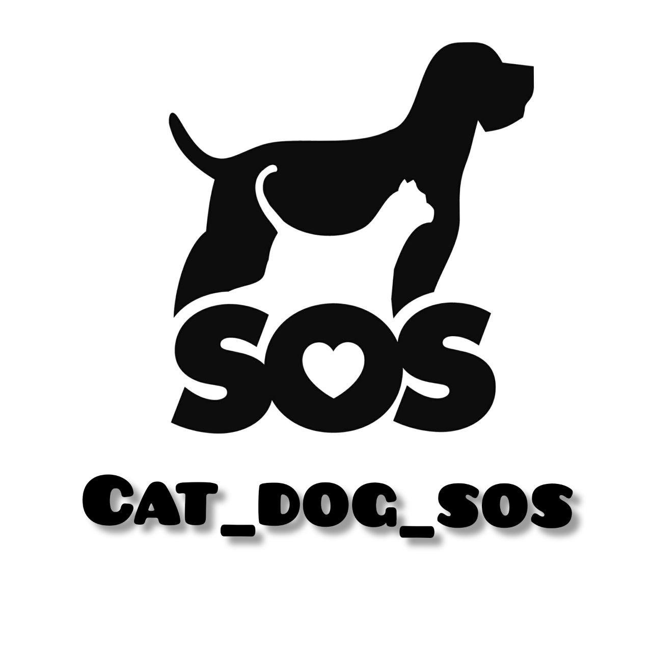Cat_Dog_Sos