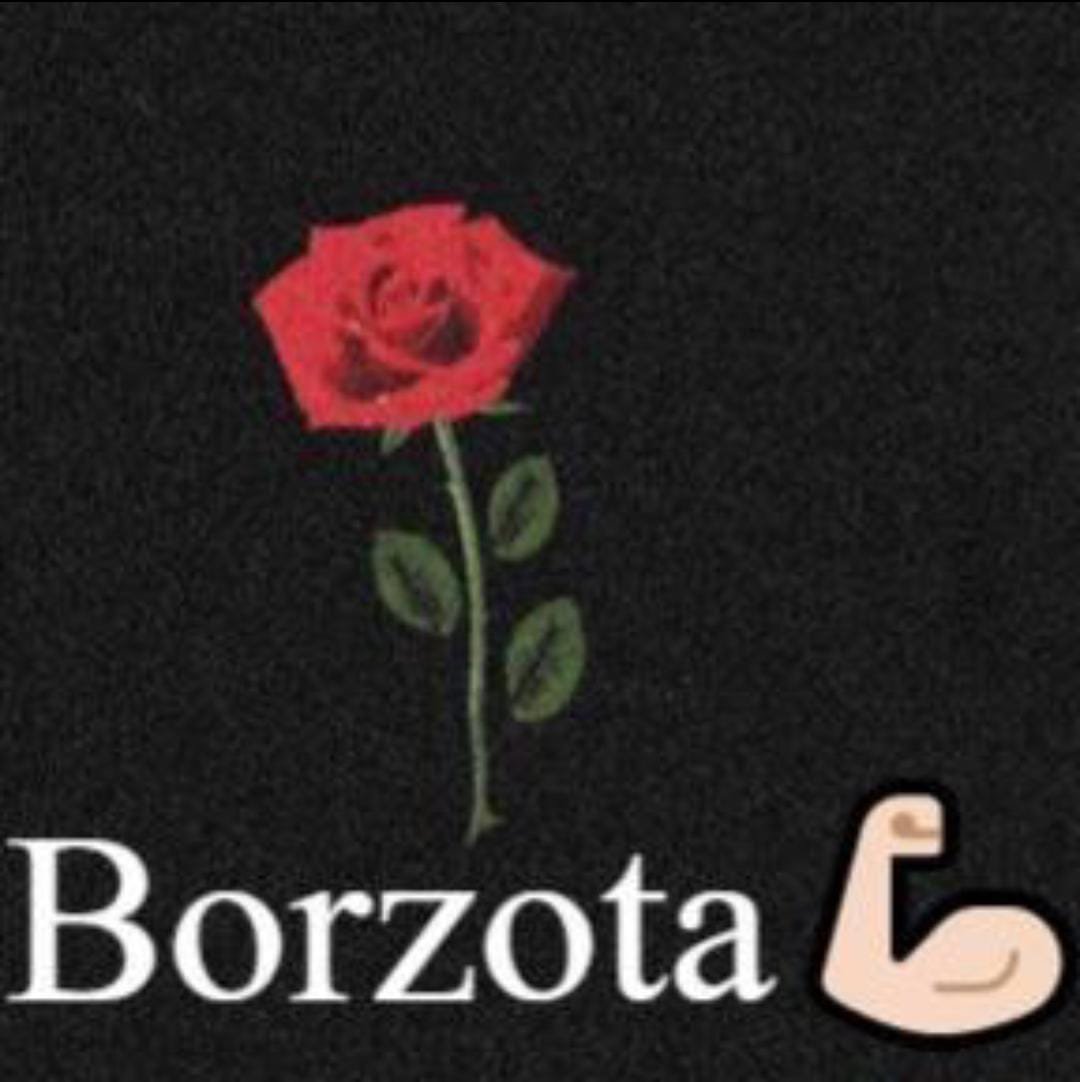 Borzota