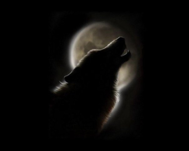 _Душа волка_