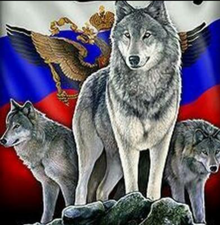 Русский вольф. Волк с российским флагом. Флаг России с волком. Флаг с волком. Знамя с волком.