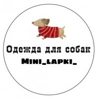 Одежда для собак Якутск