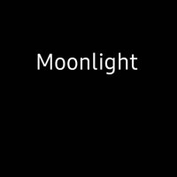 🌕°•{Moonlight}•°🌕