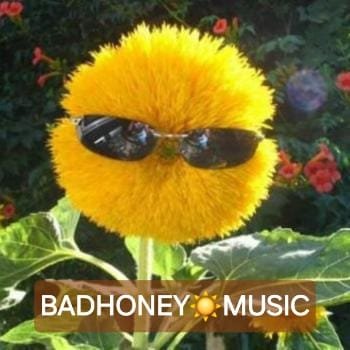 BADHONEY☀️MUSIC