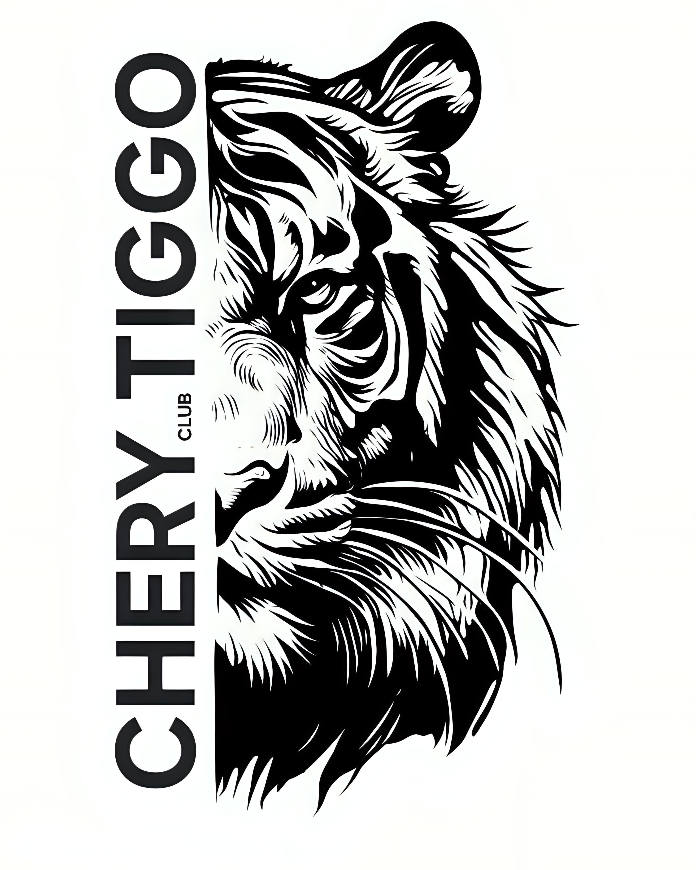 CHERY TIGGO T11 CLUB