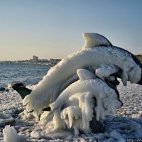 👍ИЗ РУК В РУКИ (НОВОРОССИЙСК)