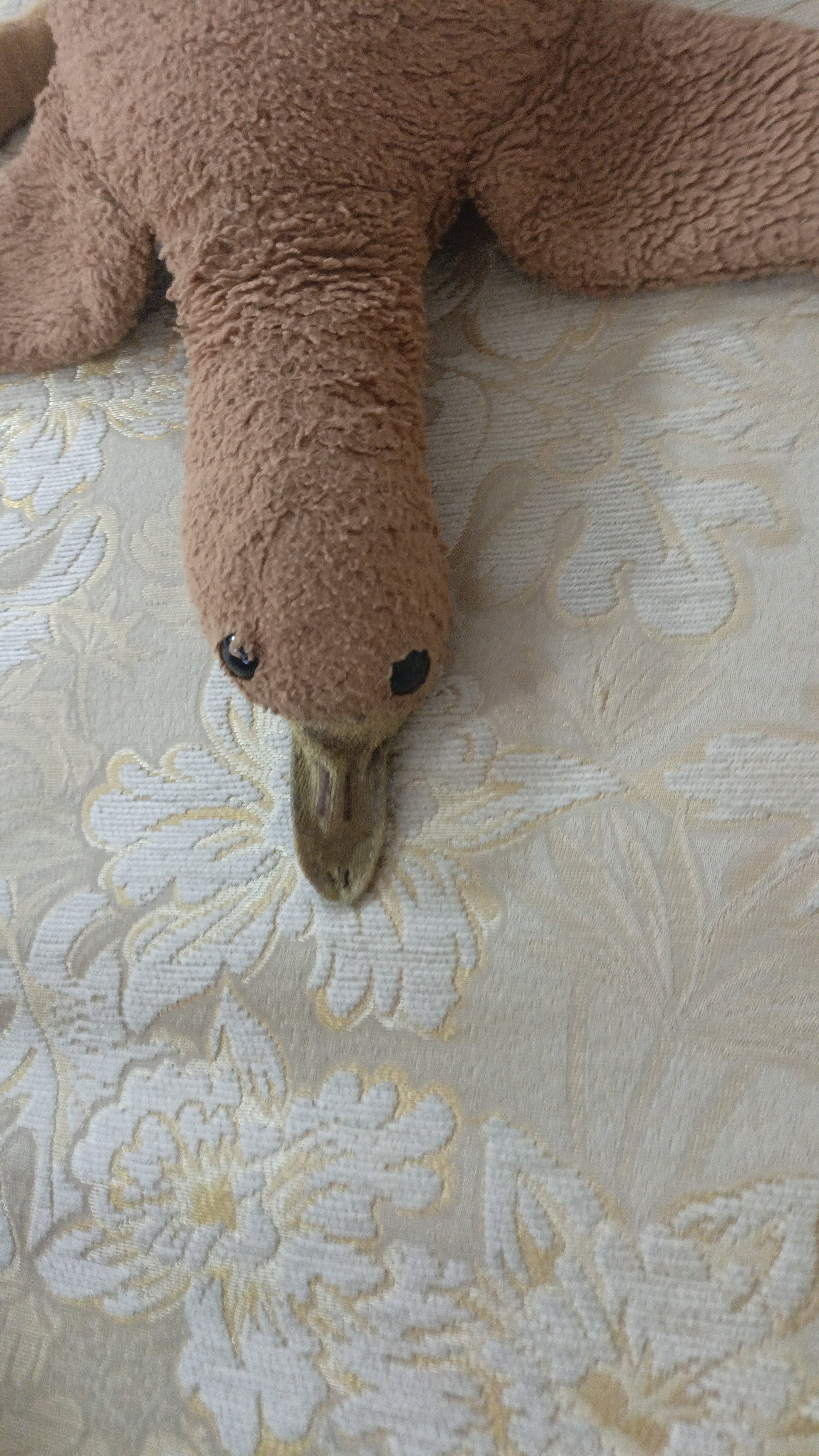 Кокос