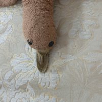 Кокос