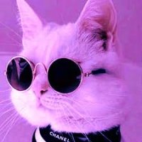 Ночная жизнь🌙