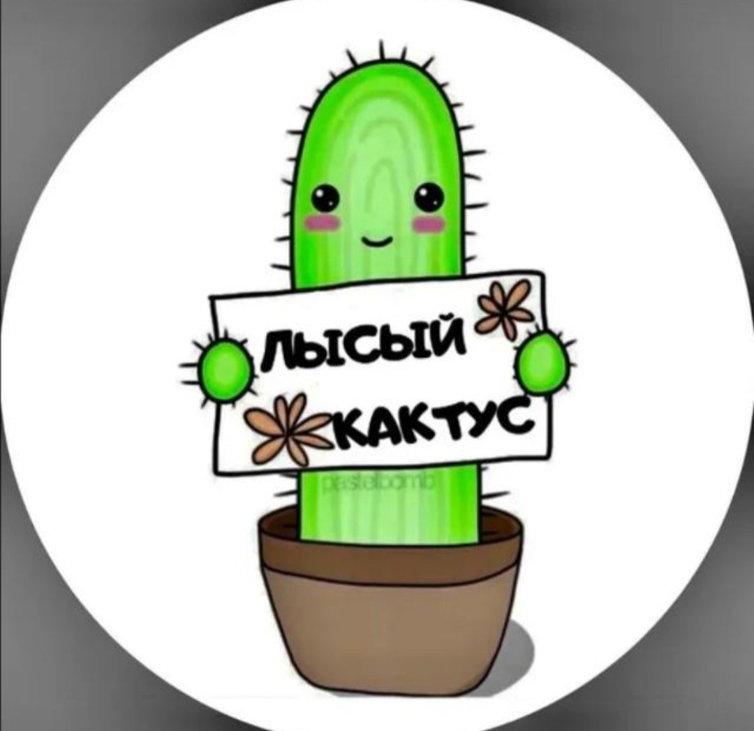 ЛЫСЫЙ КАКТУС 🌵😜