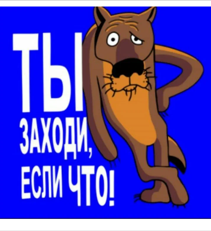 Жизнь в ритме дружбы