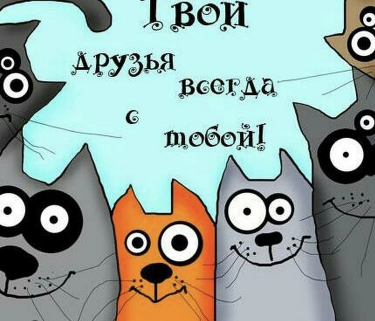👑Выпускники палаты N6 👑
