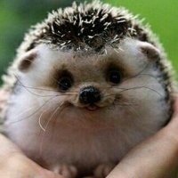 ◕‿◕K͒o͒r͒p͒o͒r͒a͒c͒i͒y͒a͒ ͒m͒o͒n͒s͒t͒r͒o͒v͒◕‿◕