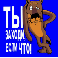 Жизнь в ритме дружбы