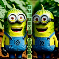 Бешеные огурцы