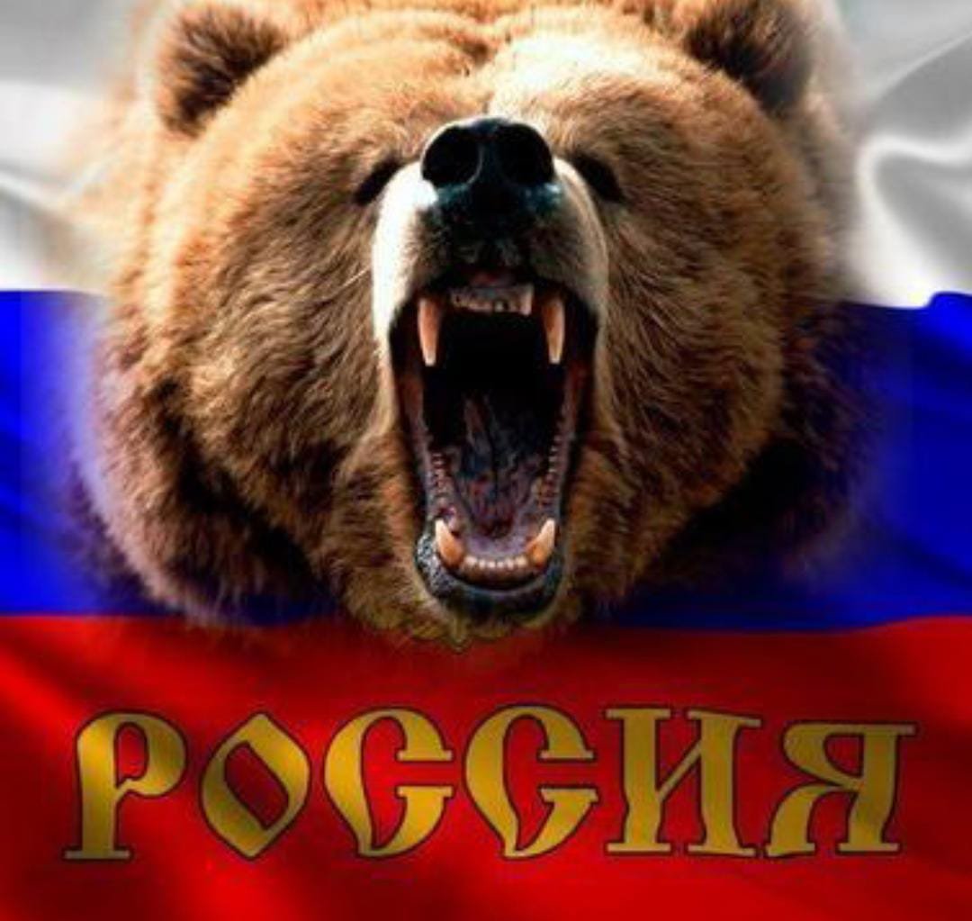 🇷🇺©️сылочная России🇷🇺