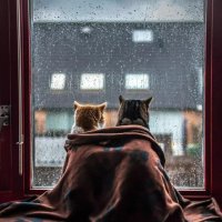 Общалка