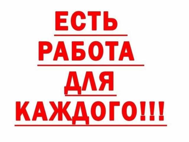 Пушкино ежедневная работа