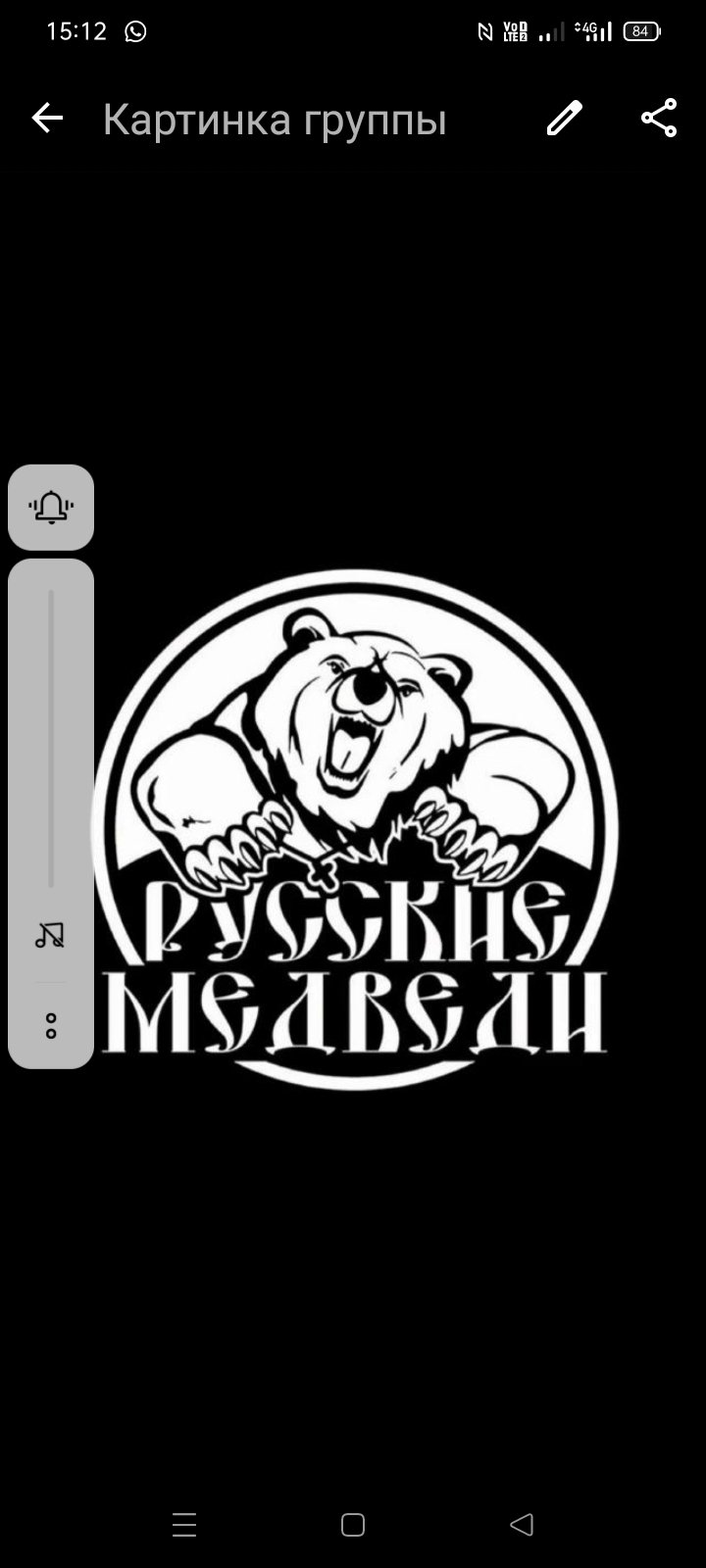 Русские Медведи