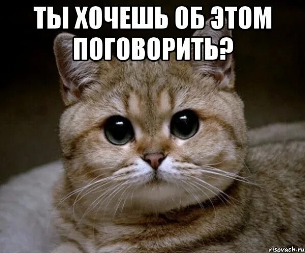 Поговорим. Фильтр