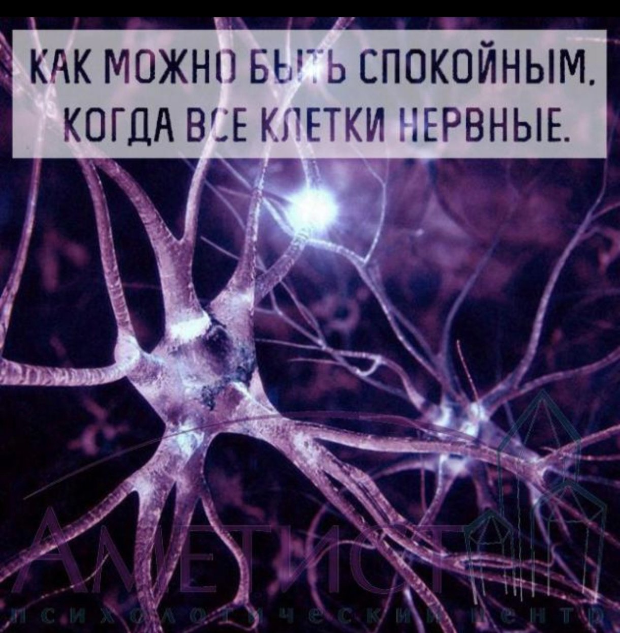 Клетка🫀