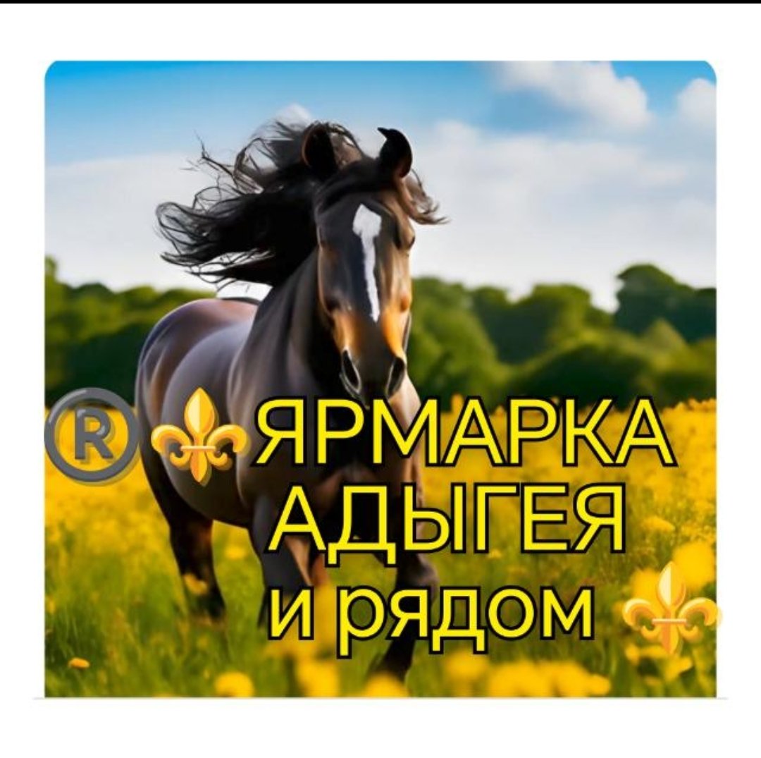 Ярмарка Адыгеи и рядом