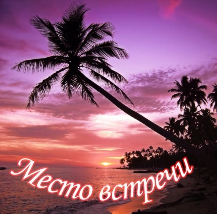 МЕСТО ВСТРЕЧИ