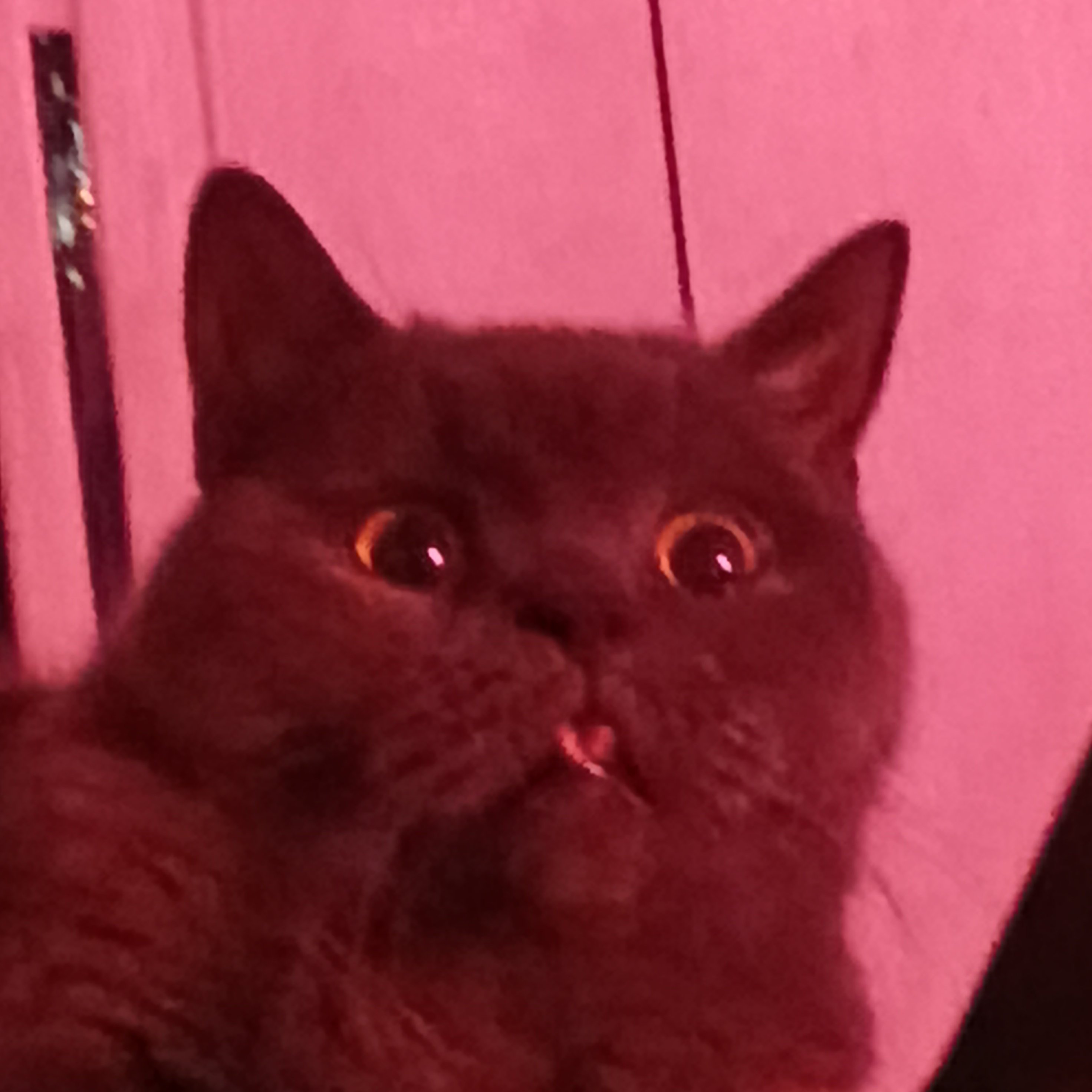 👩🏼‍🎨Худ⚪︎жка🎨~ (н⚪︎ эт⚪︎ не шк а пр⚪︎ст⚪︎ перерис⚪︎вывание;)