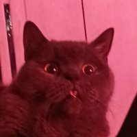 👩🏼‍🎨Худ⚪︎жка🎨~ (н⚪︎ эт⚪︎ не шк а пр⚪︎ст⚪︎ перерис⚪︎вывание;)