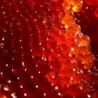 Розыгрыши ДВ