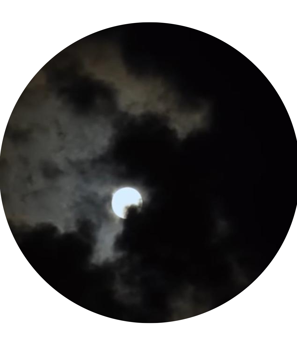 🔞  Магнолия 18+ 🔞