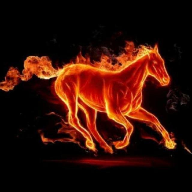 ČŤựҠ६թӸ  XⅧ +