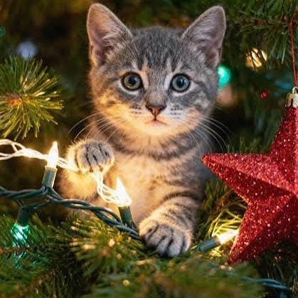 🔥🔥🔥Стикер-батл🔥🔥🔥