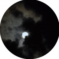 🔞  Магнолия 18+ 🔞