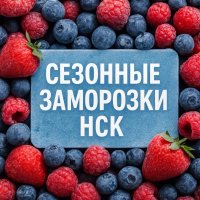 Сезонные заморозки НСК