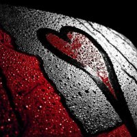 ♛ 𝔅𝔩𝔞𝔠𝔨 ℜ𝔢𝔡 𝔖𝔱𝔞𝔯 ♛