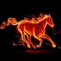 ČŤựҠ६թӸ  XⅧ +