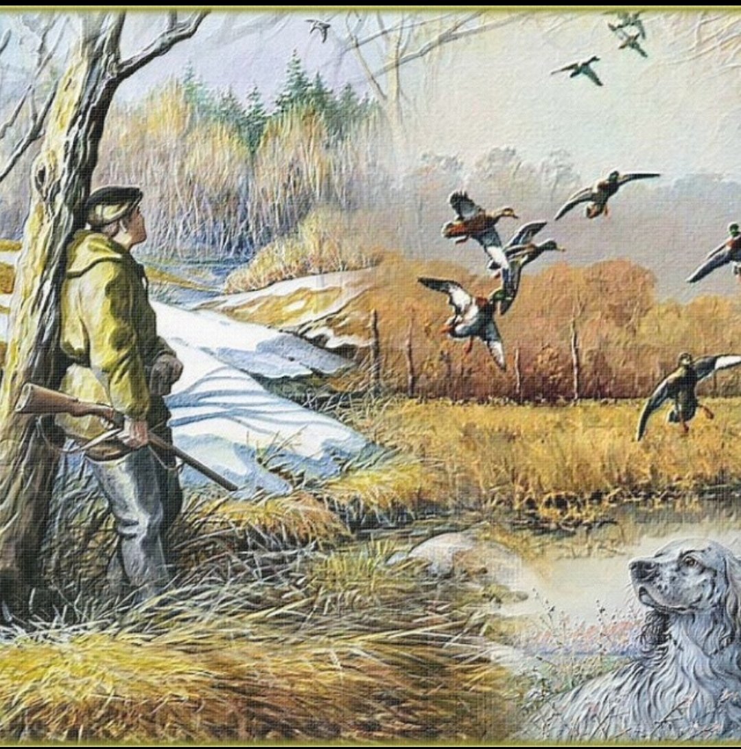 Рыболовы и Охотники