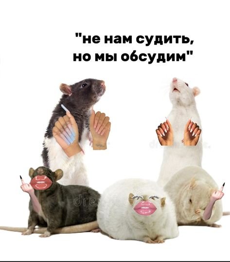 🤫 Ароматы Франции 🤫