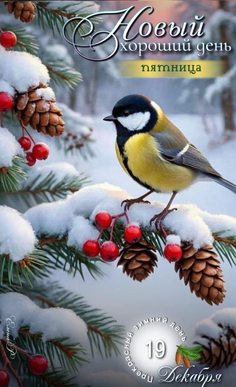 С новым годам