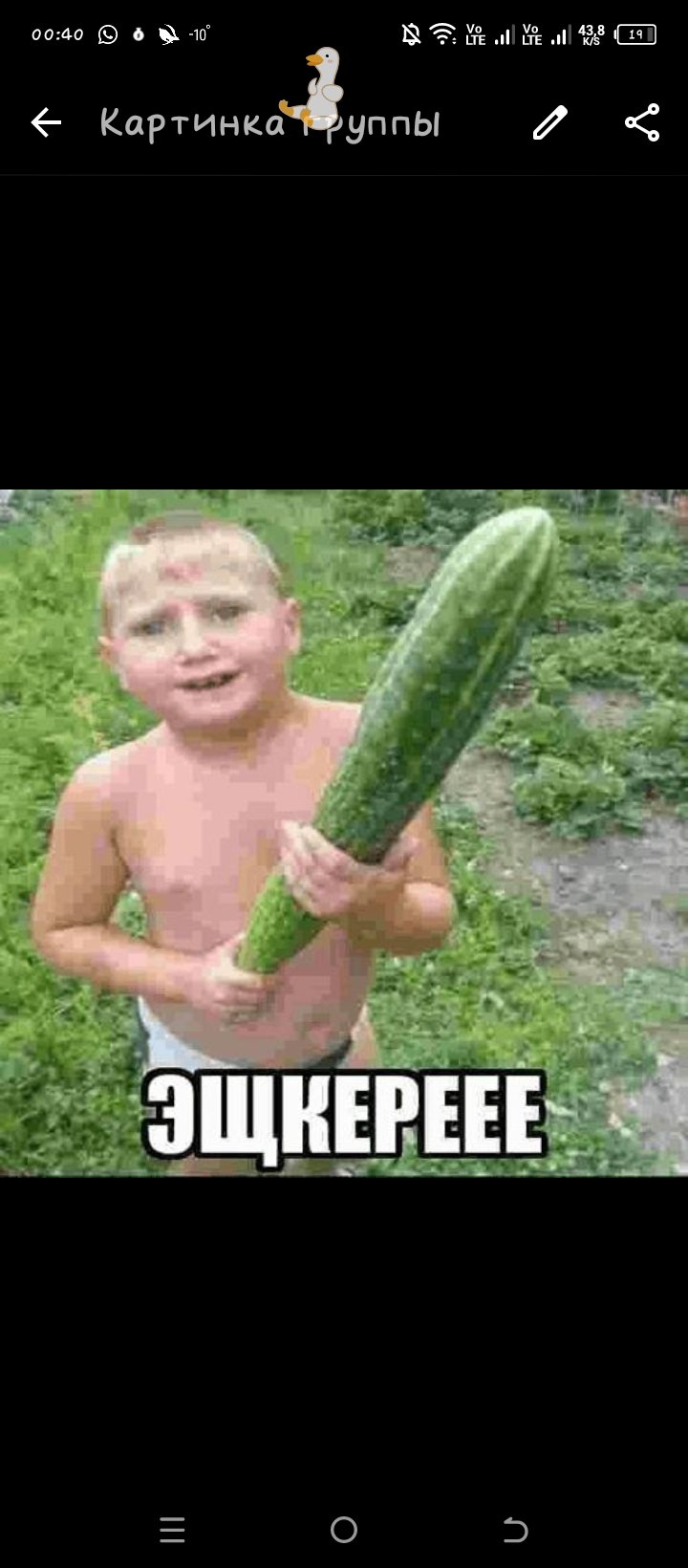 ↘️Сарказм Отряд ↙️