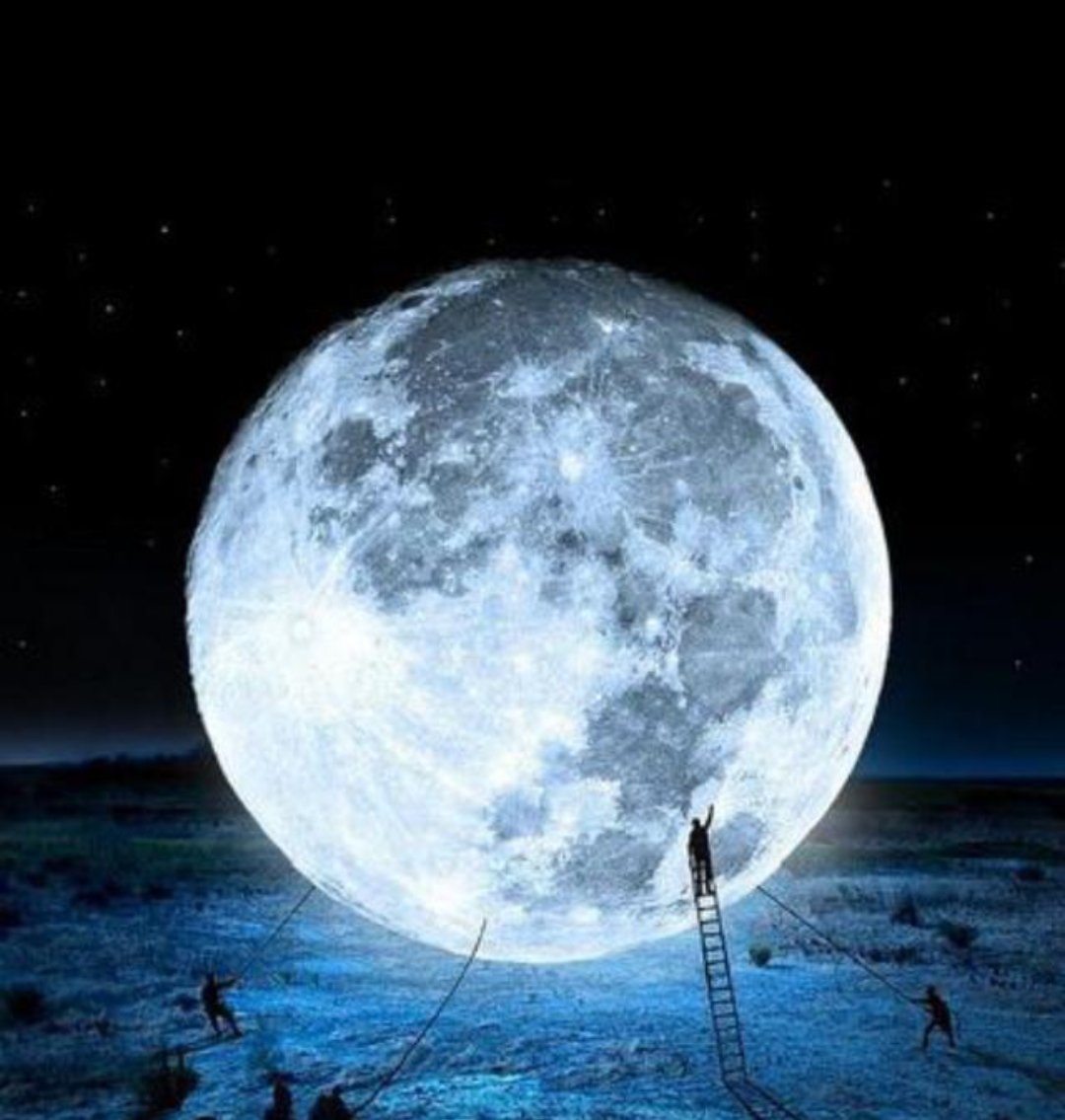 🌕𝕷𝖚𝖓𝖓𝖞𝖊 𝖑𝖊𝖌𝖊𝖓𝖉𝖞🌕